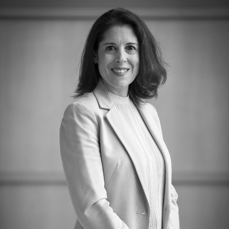 elena fernandez samsung